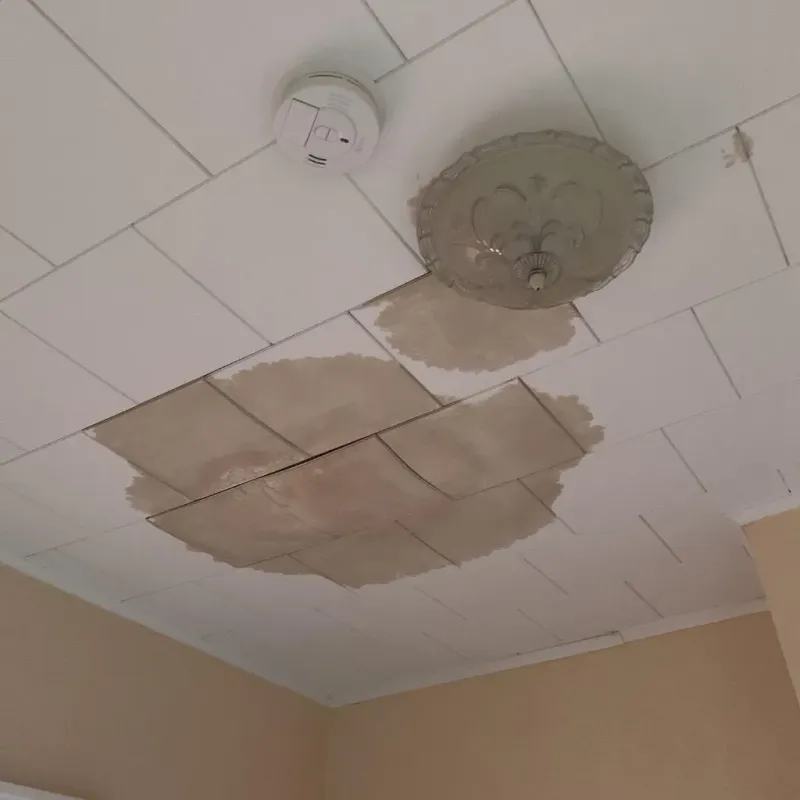 Ceiling Water Damage Repair in Le Roy, NY