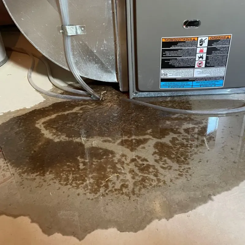 Pipe Burst and Leak Restoration in Le Roy, NY