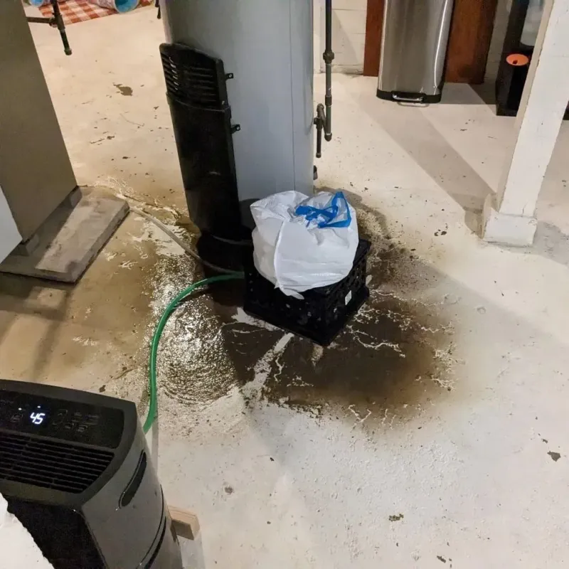 Sewage Backup Cleanup Service in Le Roy, NY